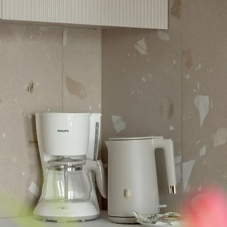 Apartment Kolumba Charming With Balcony & Parking In By Renters *